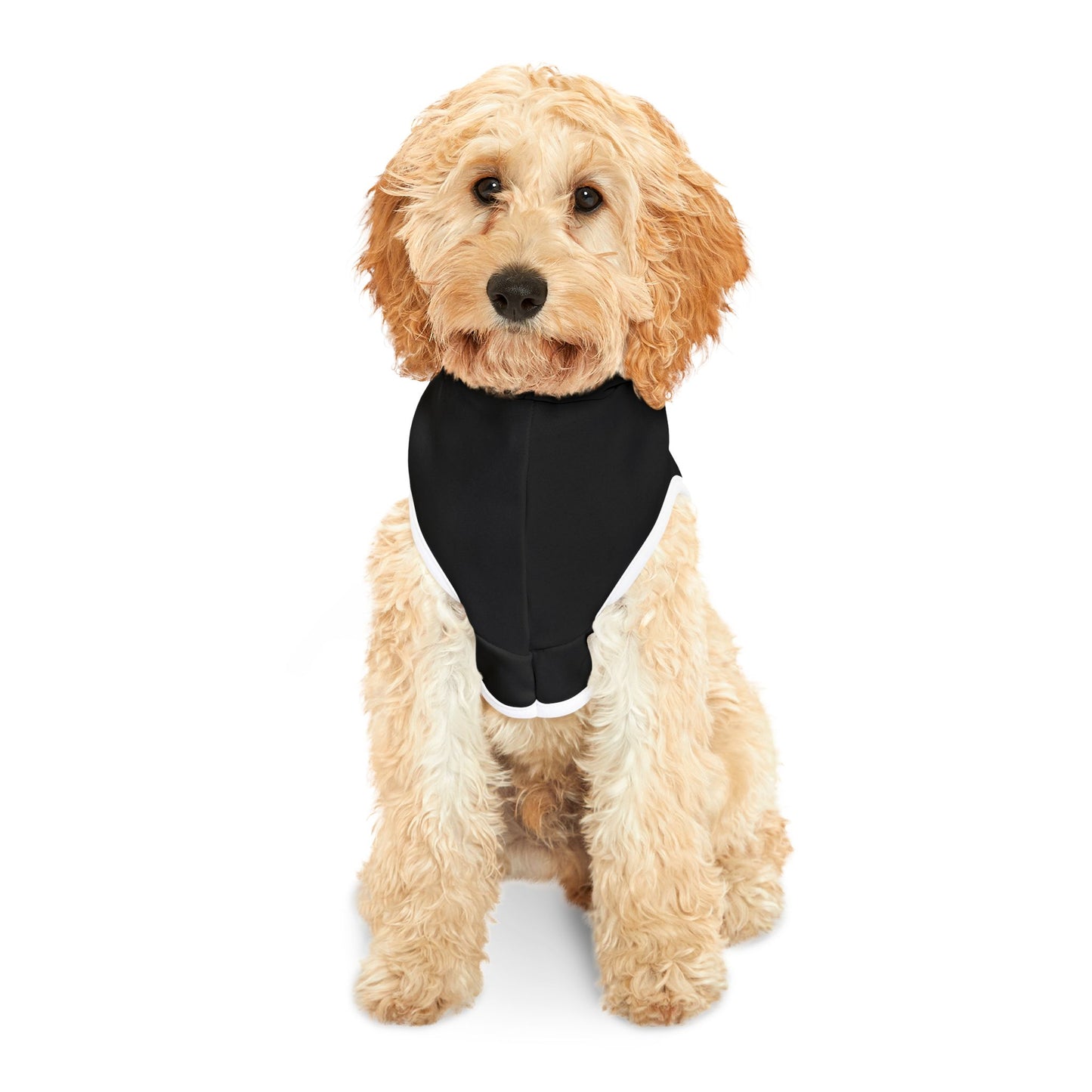 BMR Pet Hoodie