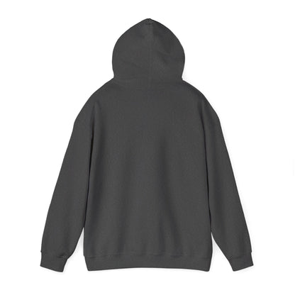 BMR Logo Unisex Heavy Blend™ Hooded Sweatshirt
